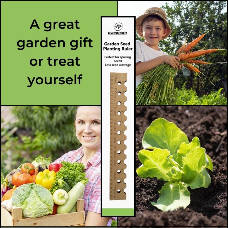 Garden Planting Ruler Line Wooden Sowing Plant Seed Spacer Veg Tool planter 30cm ruler seed box storage steel rule steel ruler 30cm metal ruler 60cm seed dispenser bulb planters dibber for planting seeds seed
pot maker KWs theatre transplanter trays making disposable indoor outdoor holders peat nursery cup tray planter men women her him women's birthday complete press Christmas stocking filler fingers fingered gardens gifts allotments ball tools tool accessories uk seed vegetables flowers