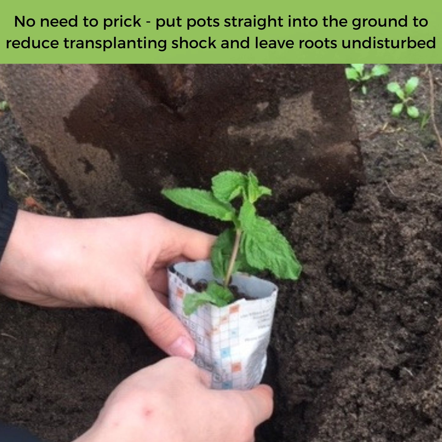 garden gift set garden gifts for couples garden gift men garden gift man gift for garden lovers men mother day garden gift quirky garden gifts garden tool gift set garden gift tool sets
for women garden tools gift something for garden small gift uncle garden gift eco gift set
eco gifts for kids eco gifts for men eco gifts for women garden tools set allotment gifts allotment
large compostable 9cm module containerwise greenhouse garden kids label indoors potting secateur holder 6cm dead head snipz pots