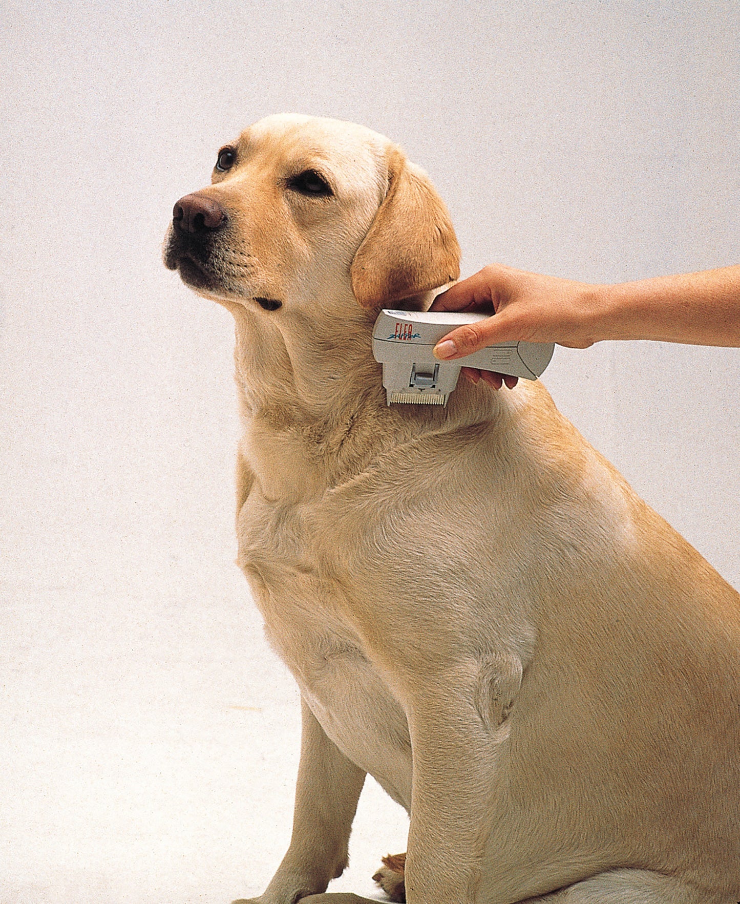flea killer comb flea killer treatment for dogs pets dog flea for dog fleas dog flea treatments for house cat flea comb electric dog flea combs electronic tick and flea dogs flea comb for dogs zapper dog and cat fleas cat & dog flea treatment flea and tick for cats dog flea treatments for home flea treatment for the home cats flea treatment for cats prime cat comb for fleas flea killer electric fleas treatment for dogs flea control dogs fleas comb electric flea comb cats