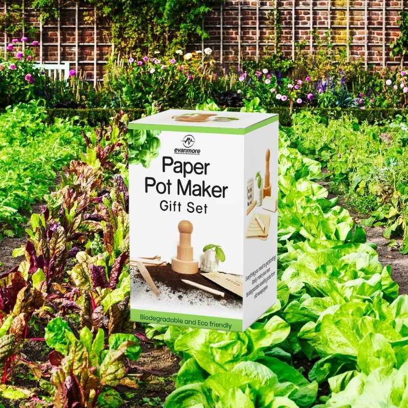 mothers day garden gift garden gift sets for women garden gift sets for men garden
gift for women garden gift for men garden gift for mum garden gift for best friend
garden gift for grandparents garden gift for kids garden gift for birthday friend garden
gift for garden lovers garden gift ideas for men garden gift ideas for women gardening
gift ideas for men gardening gift ideas for women just for you garden gift set kew
