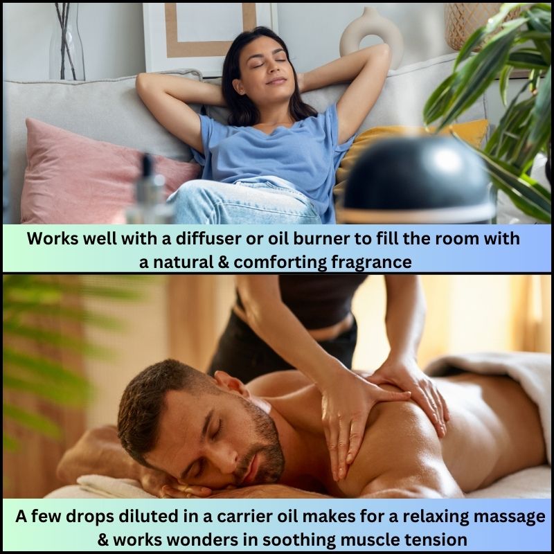 essential oils for diffusers citronella essential oil candle scents for candle making vetiver essential oil peppermint oil rosemary oil essential oil tea tree oil essential oils for diffusers for home lavender essential oil diffuser oil eucalyptus oil lavender oil citronella candle sleep oregano oil rosehip oil witch hazel pepper spray citronella oil frankincense oil essential rose neem oil clove oil migraine relief home essentials cinnamon rosemary essential oil peppermint essential oil