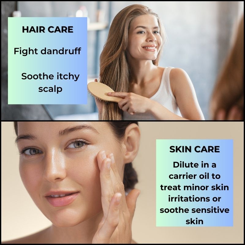 lavender pillow spray sleep tea tree oil for skin peppermint oil rat repellent scalp oil orange dried lavender rosemary oil for hair sleep spray household essentials wild growth hair oil stress relief fragrance oil vanilla essential oil diffuser essential oils spearmint oil perfume oil lemon essential oil parasite cleanse for humans aromatherapy oil frankincense oil for skin eucalyptus essential oils tea tree oil for nail fungus urea cream vanilla body oil clove oil for toothache pain relief