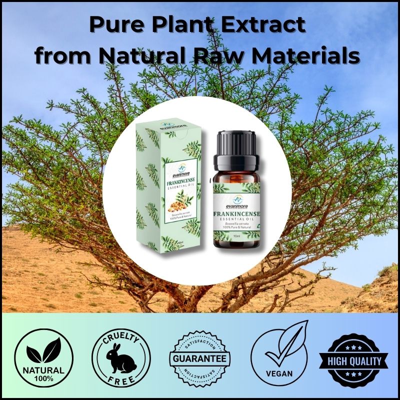 essential oil lavender and chamomile essential oil nikura essential oil nature essential oil natural
essential oil neom essential oil organic essential oil pure essential oil refill essential oil relax Lavender Essential Oils Frankincense Oil Geranuim Rose Patchouli 10ml Diffusers Diffuser For Home Undiluted Cruelty Free Pure Premium Quality Aromatherapy Household Essentials Vegan