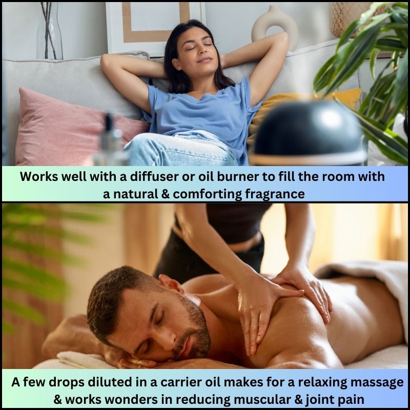 frankincense oil nikura frankincense oil now natural frankincense oil natural frankincense oil pure
frankincense oil essential frankincense oil organic pure frankincense oil for skin
frankincense oil plant therapy frankincense oil resin frankincense oil skin frankincense oil topical
frankincense oil burner vailontis frankincense oil pure world frankincense oil essential oil burner
essential oil diffuser essential oils for skin essential oils for candle making essential oil 100ml