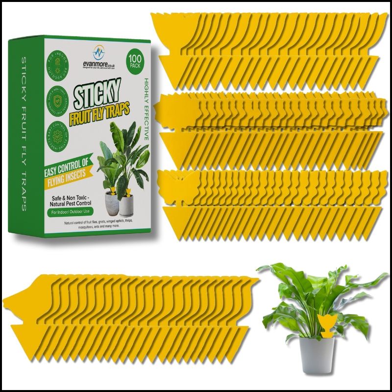 thrips control thrips spray thrips insecticide thrips nematode thrips pesticide thrips treatment houseplant sticky traps for thrips blue sticky traps thrips trap fruit fly traps catcher trap killer swatter spray indoor use for home repellent insect fungus gnat paper papers indoors sticky the best zapper catchers killers deterrent tape strips bug gnats plants flies stickers windows red top black green plant nematodes death drops yellow aphid house pet safe control plug food waste bin anti glue bowl bombs