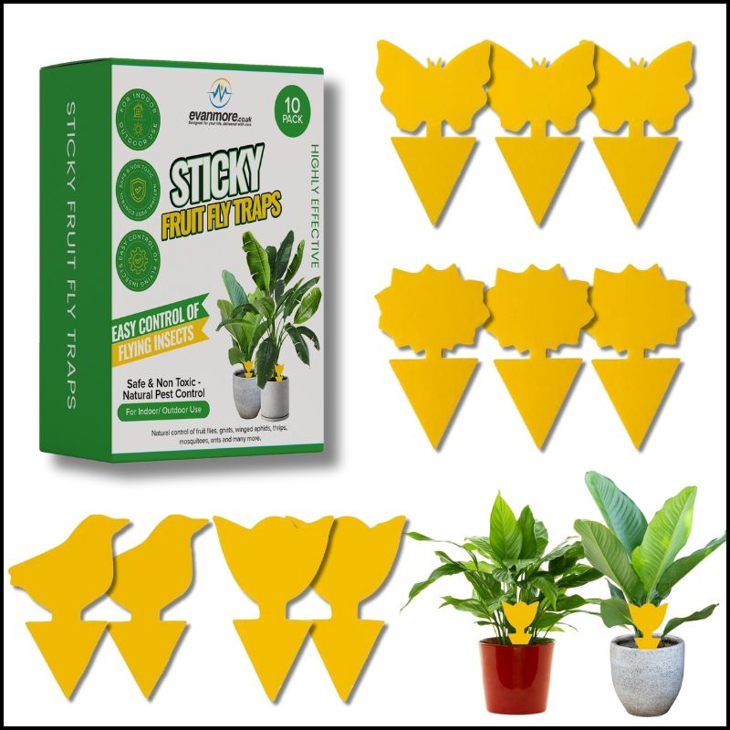 indoor plants flies killer Fruit Fly Traps Trap Indoor Sticky Yellow For Home Use Protect Plants – Evanmore Ltd