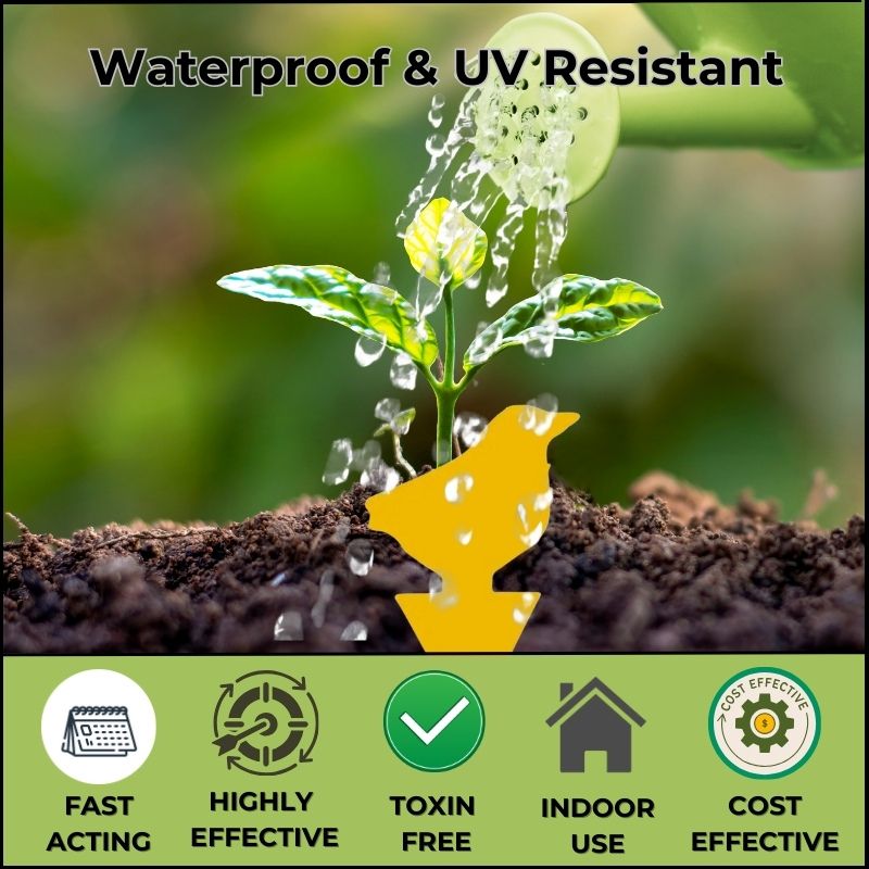 fungus gnat spray fungus gnat killer eco friendly fungus gnat fly killer fungus gnat killer for house fungus gnat houseplant spray house plant fungus gnat spray fungus gnat killer houseplants fungus gnat indoor fungus gnat insecticide fungus gnat spray for indoor plants fungus gnat drops for indoor plants fungus gnat killer liquid fungus gnat larvae killer fungus gnat nematodes for indoor plants fungus gnat natural fungus gnat killer organic