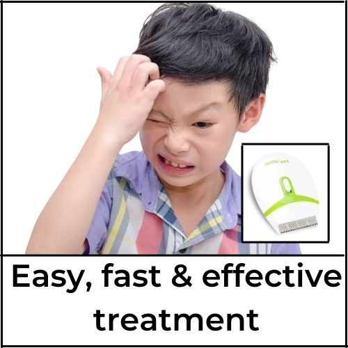 combe nitty gritty boditek ryobi terminator metal nix finito nit free terminator fine tooth lice comb fine hair lice comb thick hair lice comb lice comb plastic best lice comb lice guard
