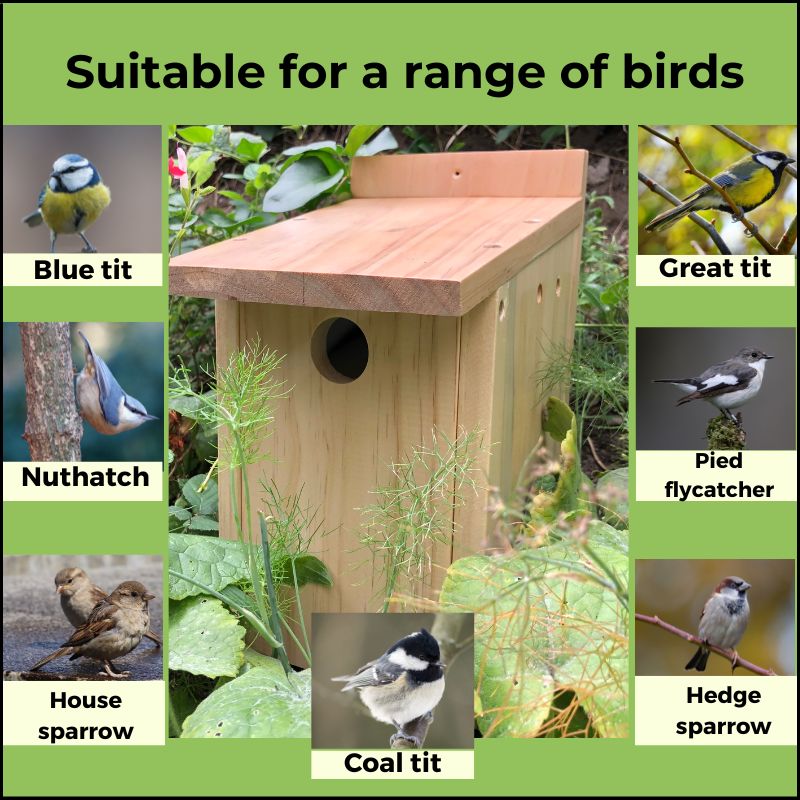 gifts for women gift for bird lovers bird watchers gift birdwatcher gift love birds gift garden gift
bird gift art & craft kit activities for adults toys Traditional retro present ideas lovers
toys and activities activity things for people with bird houses for garden craft box for
kids birdhouses bird boxes garden small birds birdbox bird box uk bird nesting boxes bird nesting
nesting boxes garden small birds birds nest birdhouse for garden bird houses for garden for fence
nesting boxes for wild bi