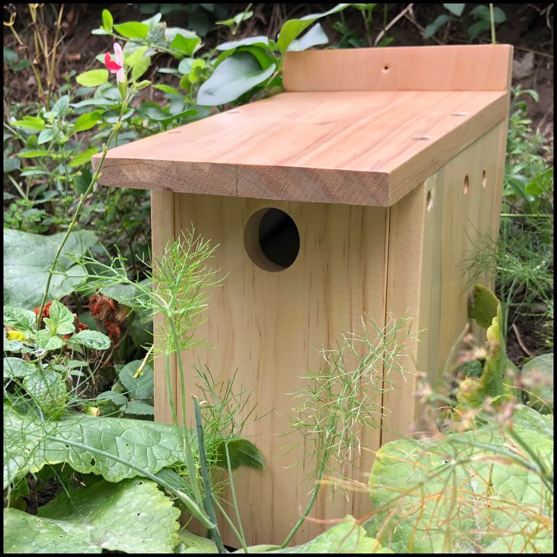 easter craft kids garden activities make your own bird house for kids make your own bird box kit make your own birdhouse make your own bird feeder carpentry kit
Traditional retro present ideas lovers Christmas Father's Day Mother's Auntie Easter Birthday Uncle greenfingers national apples wooden gardens gifts trust uk british craft crafts outdoor outdoors natural fingers green nesting acorn wall mounted tin posh dementia activity