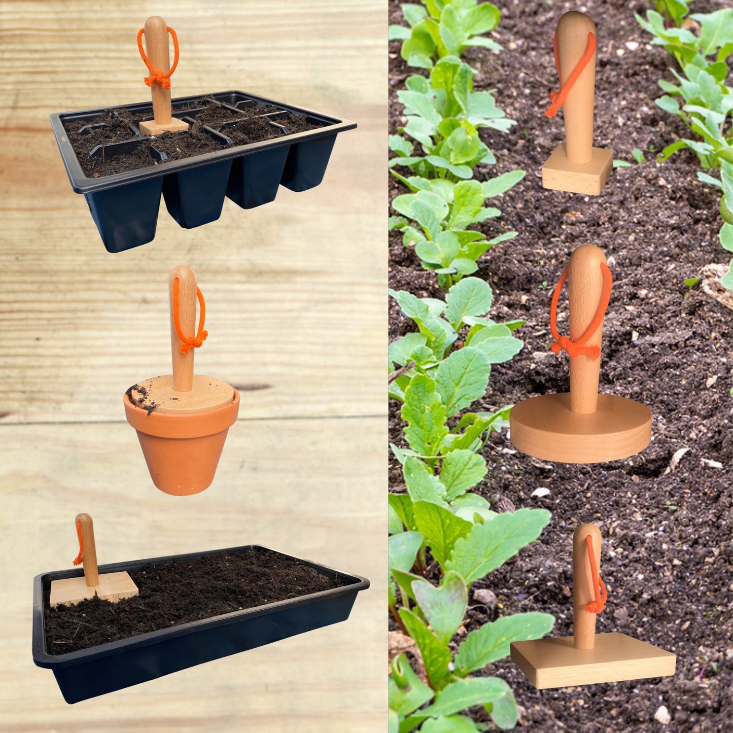 seed boxes and organisers seed box gift tool gardener
gifts for men seed tin for garden seeds greenhouse accessories gifts greenhouse gifts gardeners
gardeners gifts for men vegetable gardening gifts allotment gift gardening stocking fillers
greenhouse tools gifts for the allotment seed tray tamper allotment gifts for men vegetable
vegetable growing kit allotment tools allotment gifts for women seed storage tin stocking fillers
stocking fillers for gardeners garden dibber tool seed sowing greenhouse