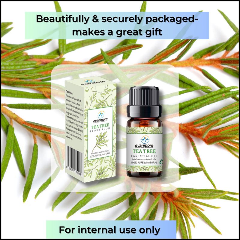 mice repellent doterra essential oils wood oil humidifier oil essential oils diffusers for home
dry scalp oil pine essential oil hair oil for hair growth essential oil for diffusers for home
hair growth spray congestion relief candle fragrance oil for soya wax Essential Oils Lavender Frankincense Oil Chamomile Geranuim Patchouli 10ml Diffusers Diffuser For Home Undiluted Cruelty Free Pure Premium Quality Aromatherapy Household Essentials Vegan