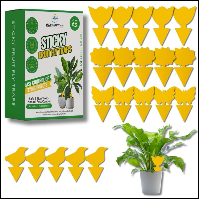 killer for soil houseplant bug control houseplant bug control houseplant bug traps houseplant bug sticky trap houseplant fly sticky traps houseplant sticky traps houseplant fly traps house plant bug spray indoor house plant black fly killer spray house plant traps house plant gnat killer spray house plant gnat trap house plant gnat spray house plant gnat treatment house plant bug killer fungus gnats house plants greenhouse accessories