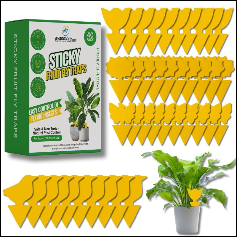 fly swat bug clear ultra flea trap diatomaceous earth pest control bug killer spray for plants dual sided double sided double-sided plant protection fly squatter greenfly spray window fly trap fly swats plant fly stickers white fly killer spray for plants fly away sticky fly catcher drain fly killer plant tape bug trap bug killer indoor drain flies treatment flies trap thrips killer houseplants bug stickers fly paper strips fly traps fungus gnats indoor insect & pest control
