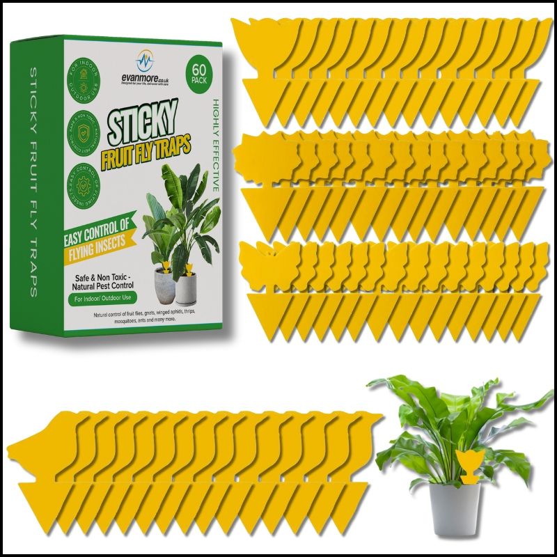 black fly spray yellow fly sticky traps flies repellent indoor anti fly green fly spray ninja greenhouse fly traps fly trap plant garden fly trap fruit flies trap fly sticker plant care fly strip flypaper indoor bug clear fruit and veg flying insect trap fly catcher plant insect sticky traps fly trap stickers houseplant bug spray flycatchers anti fly device fly killer stickers plant stickers whitefly killer spray sticky fly tape thrips treatment flies trap indoor fly catcher trap
