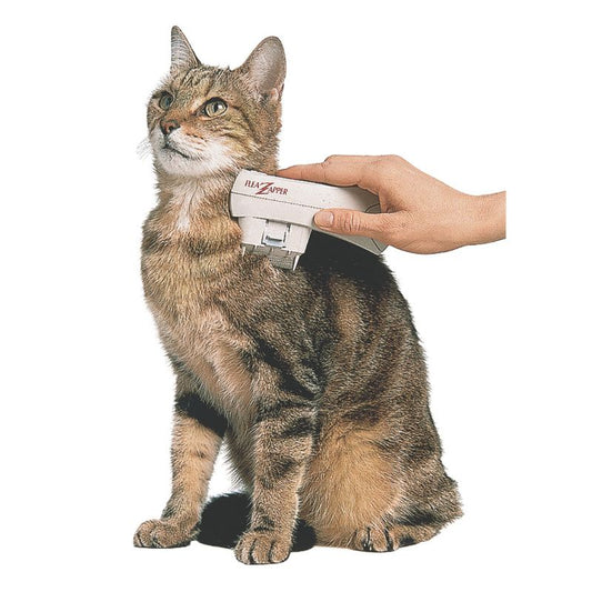 Electronic flea comb for dogs  flea zapper electronic comb electronic flea comb for cats electric flea comb for puppy flea comb for long haired cats flea comb kitten flea comb zapper electronic flea combe cat combs flea tick cat flea tick treatment for cats fleas ticks cats flea comb killer cat comb flea control for cats flea control for dogs tick and flea and tick for dogs best flea treatment for cats cat flea comb dog flea comb flea killer for home fleas killer flea killer for cats flea killer for dogs
