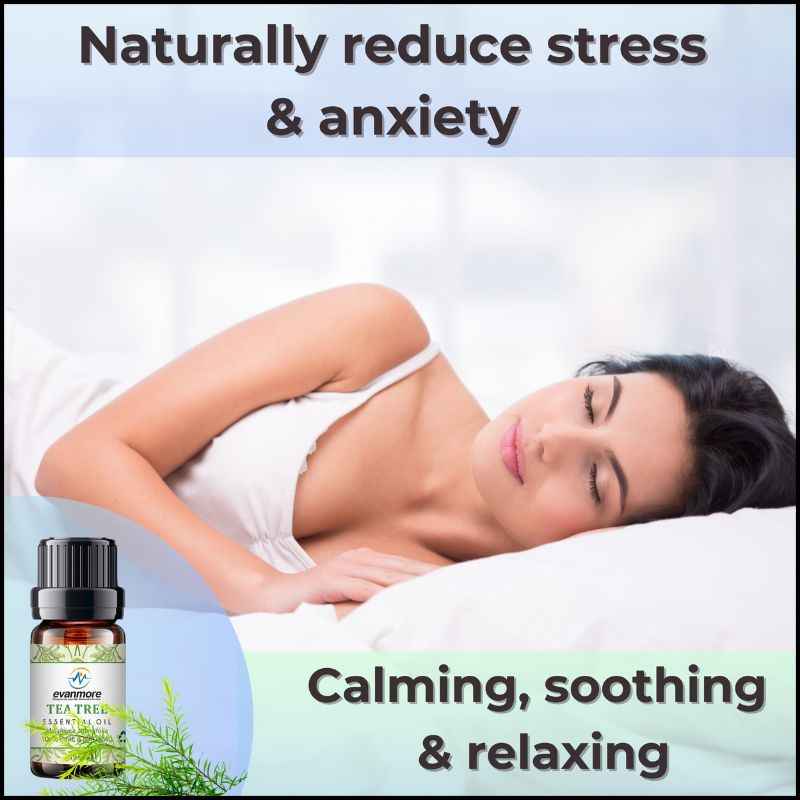 tea tree oil for itchy scalp tea tree oil for nails tea tree oil for scabies tea tree oil for hair growth tea tree oil hair tea tree oil holland and barrett tea tree oil hair growth tea tree oil headlice tea tree oil inhale tea tree oil insect repellent tea tree oil lice tea tree oil malaleuca alternifolia tea tree oil massage tea tree oil natural tea tree oil nit tea tree oil nail treatment tea tree oil nikura tea tree oil pure organic tea tree oil piercing tea tree oil pure undiluted tea tree 